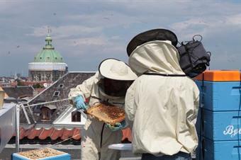 Agence Européenne pour l'Environnement