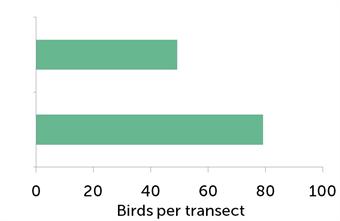 Aantal zangvogels (soorten in het Biodiversiteitsactieplan van het Verenigd Koninkrijk) per studie transect voor beheer (boven) en met gebieds- en wildbeheer (onder).