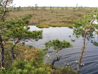 Soomaa Ulusal Park'ında insani gelişme olmayan bir alandır