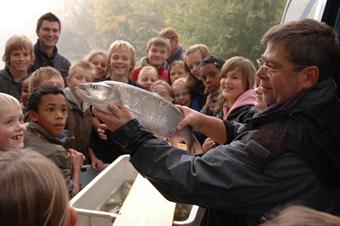 Research, education and restoration through Sportvisserij Nederland