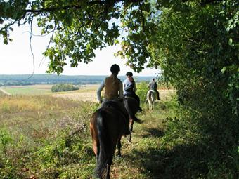 Faire de l'équitation dans la campagne hongroise