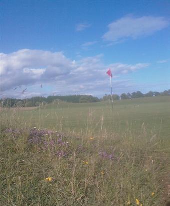 Golf-courses can provide useful semi-natural habitat
