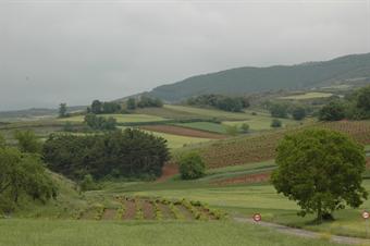 Ferme mixte en Espagne