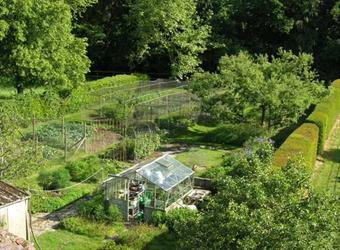 A kitchen garden